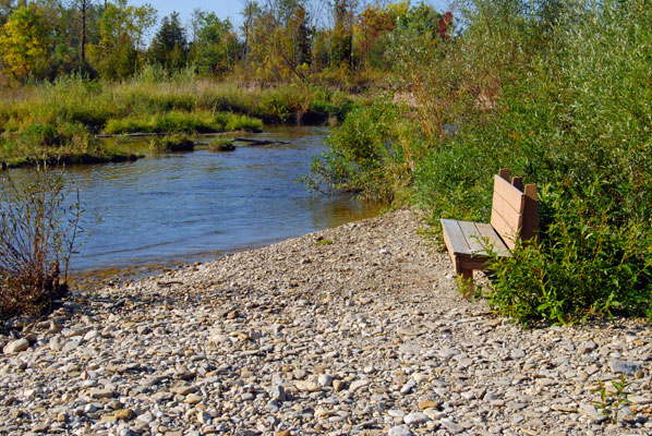 a bench beside the river in Carruthers Memorial Conservation Area