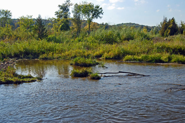 a view of hills beyond the river in Carruthers Memorial Conservation Area