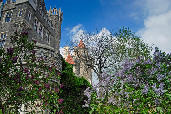 the castle seen through lilac branches