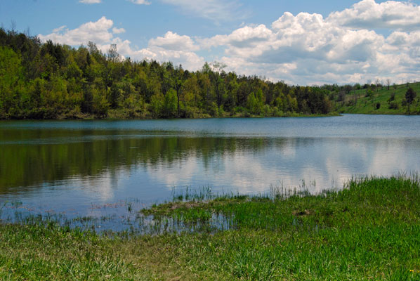 looking across a kettle lake at Forks of the Credit Provincial Park