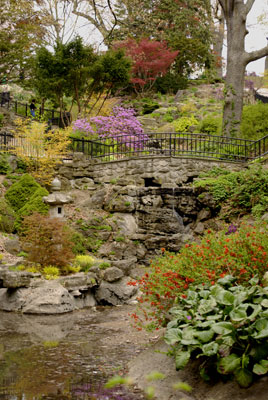 a stream runs under a bridge in the Japaneses garden in High Park