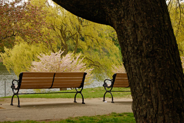 benches overlooking the pond in Toronto’s High Park