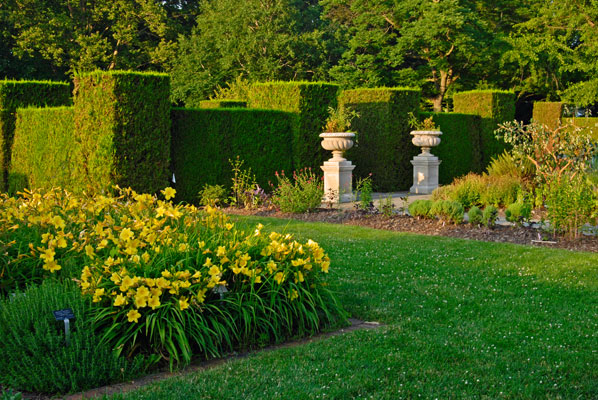 daylilies and herbs in the Herb Garden