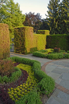 Herb Garden plantings