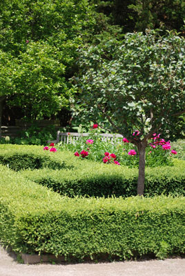 clipped hedges surround small garden beds with small trees and peonies