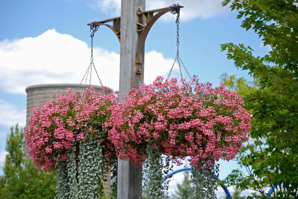 hanging planters