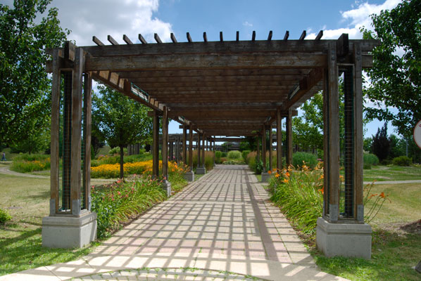 looking down a pergola-covered walkway