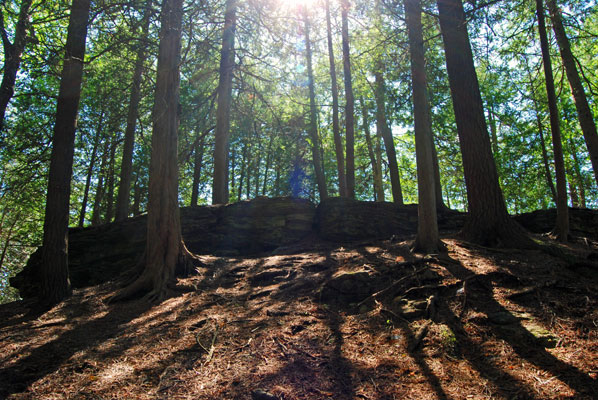 trees cling to high rocks near the lookout