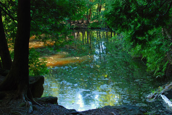 rock and trees are reflected in a small pond along the pothole trail