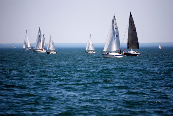 a view of many sailboats out on the waters of Lake Ontario